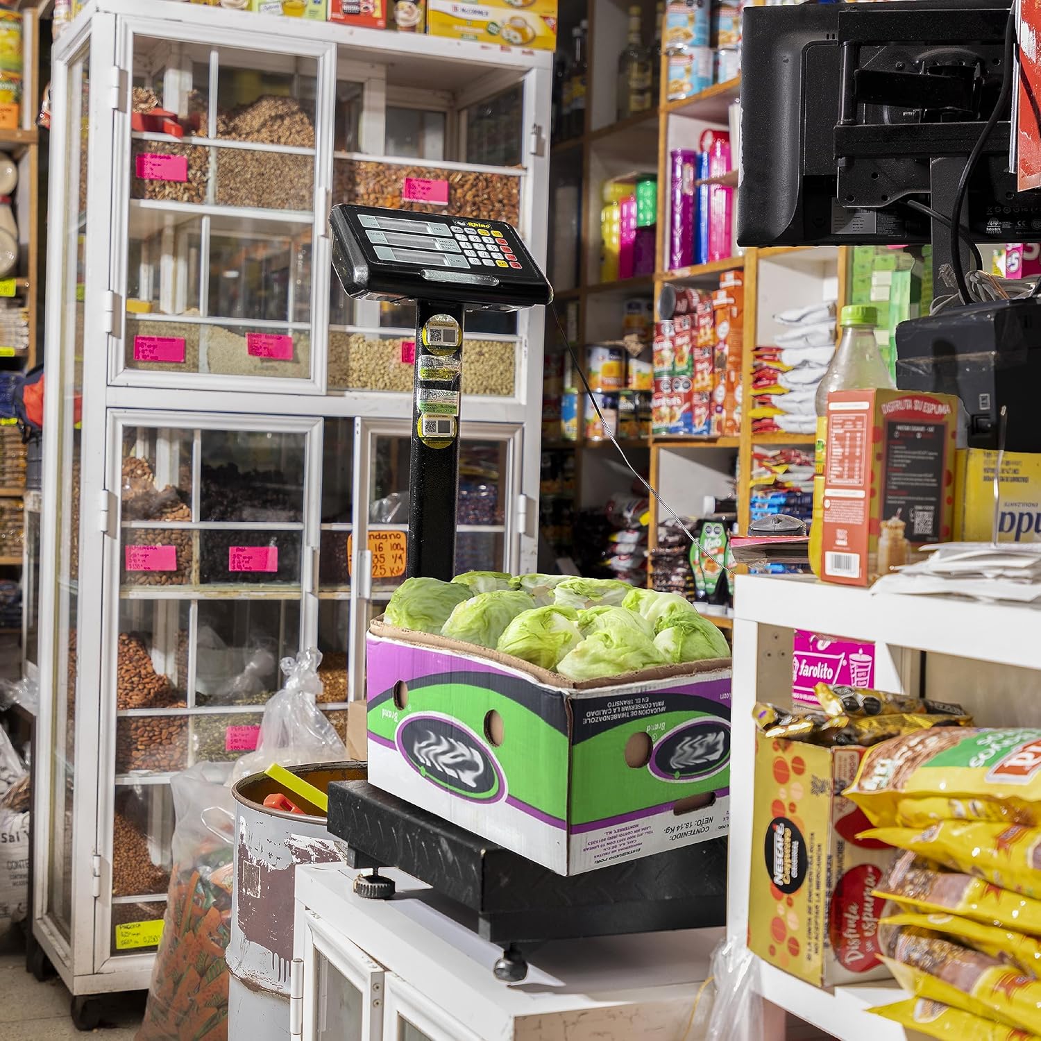 Báscula de Plataforma Plegable 100 kg