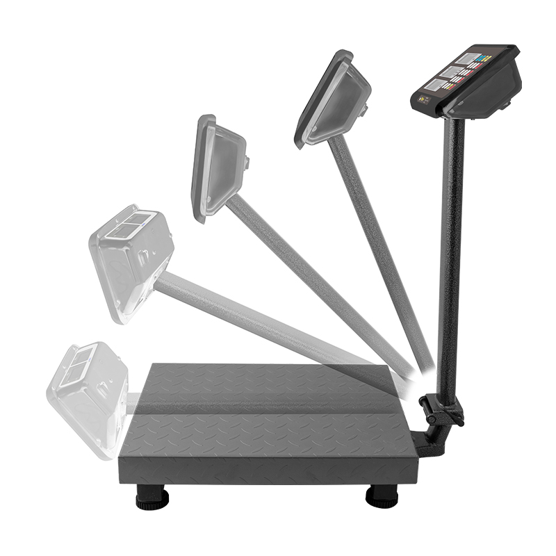 Báscula de Plataforma Plegable 100 kg