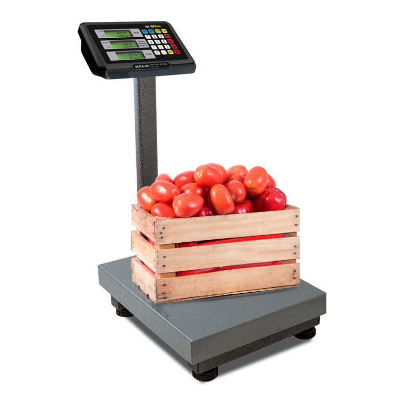 Báscula de Plataforma Plegable 100 kg