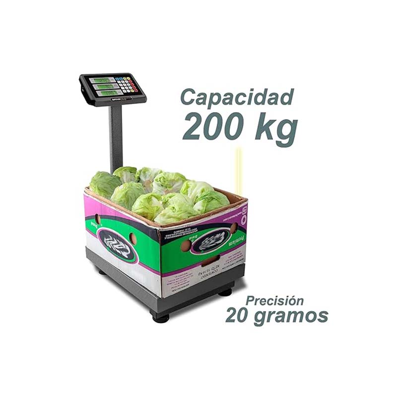Báscula de Plataforma Plegable 200 kg
