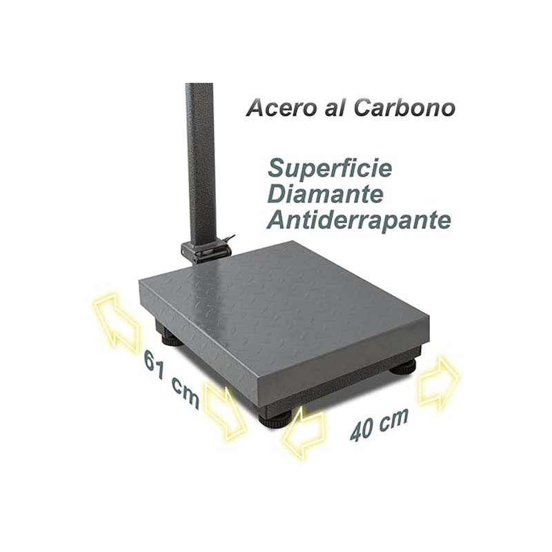 Báscula de Plataforma Plegable 200 kg