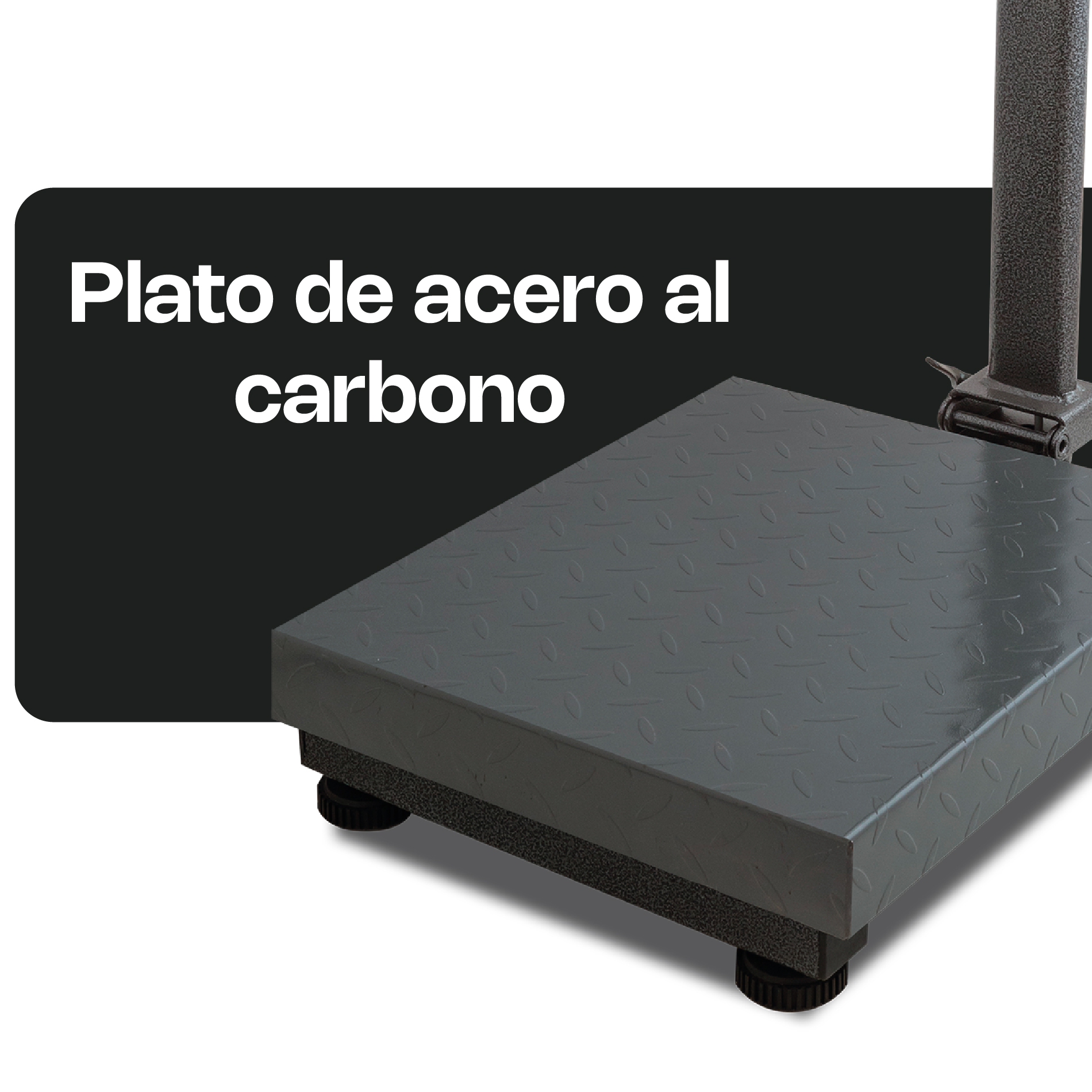 Báscula de Plataforma Plegable 80 kg