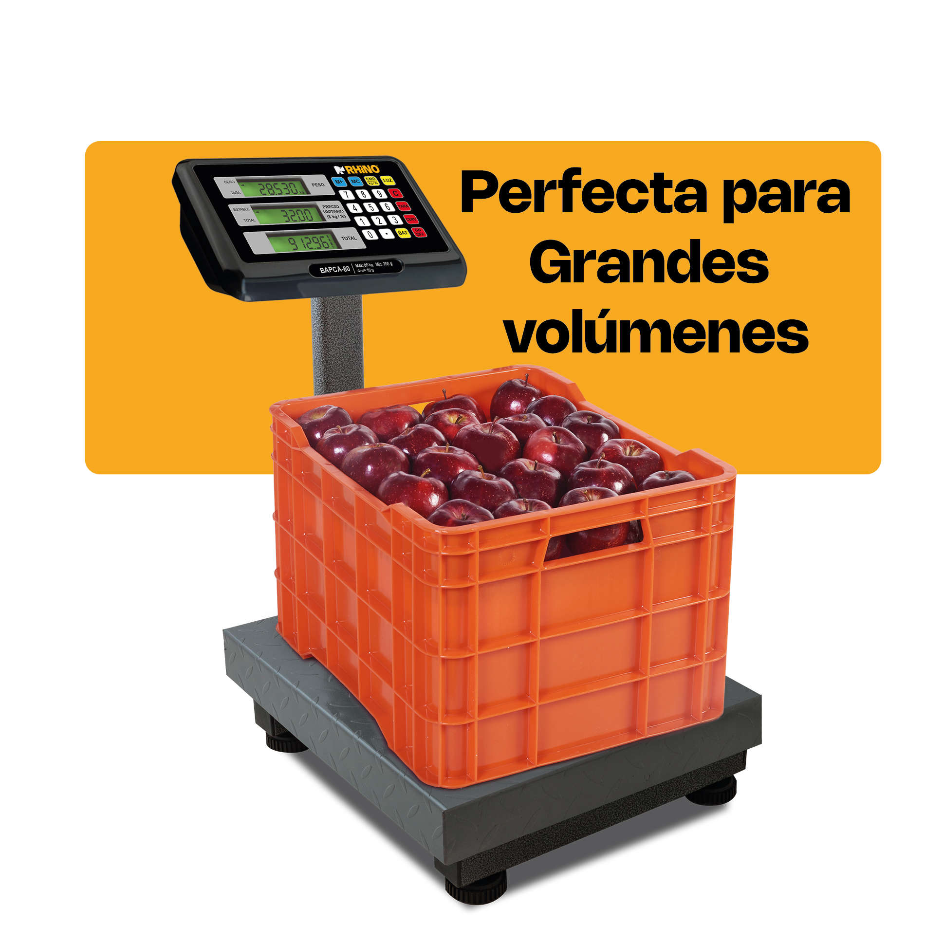 Báscula de Plataforma Plegable 80 kg