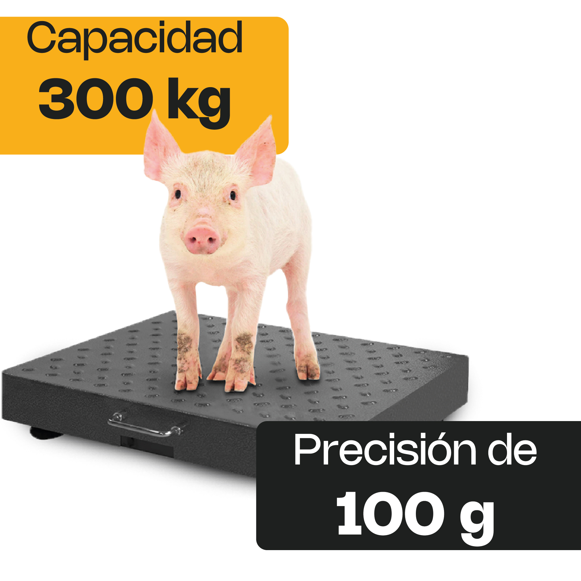 Báscula de Plataforma Inalámbrica 300 kg