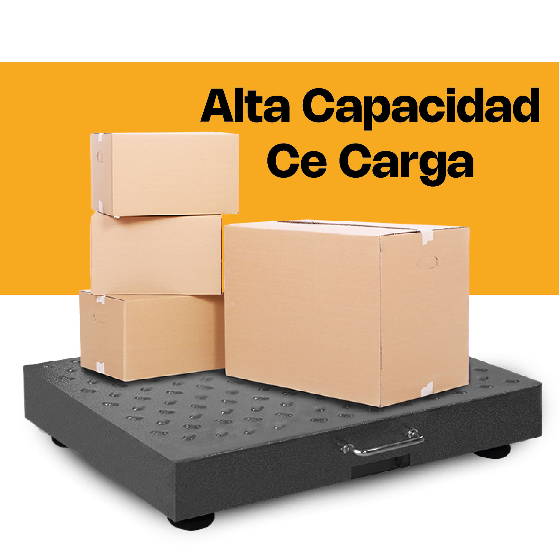 Báscula de Plataforma Inalámbrica 300 kg