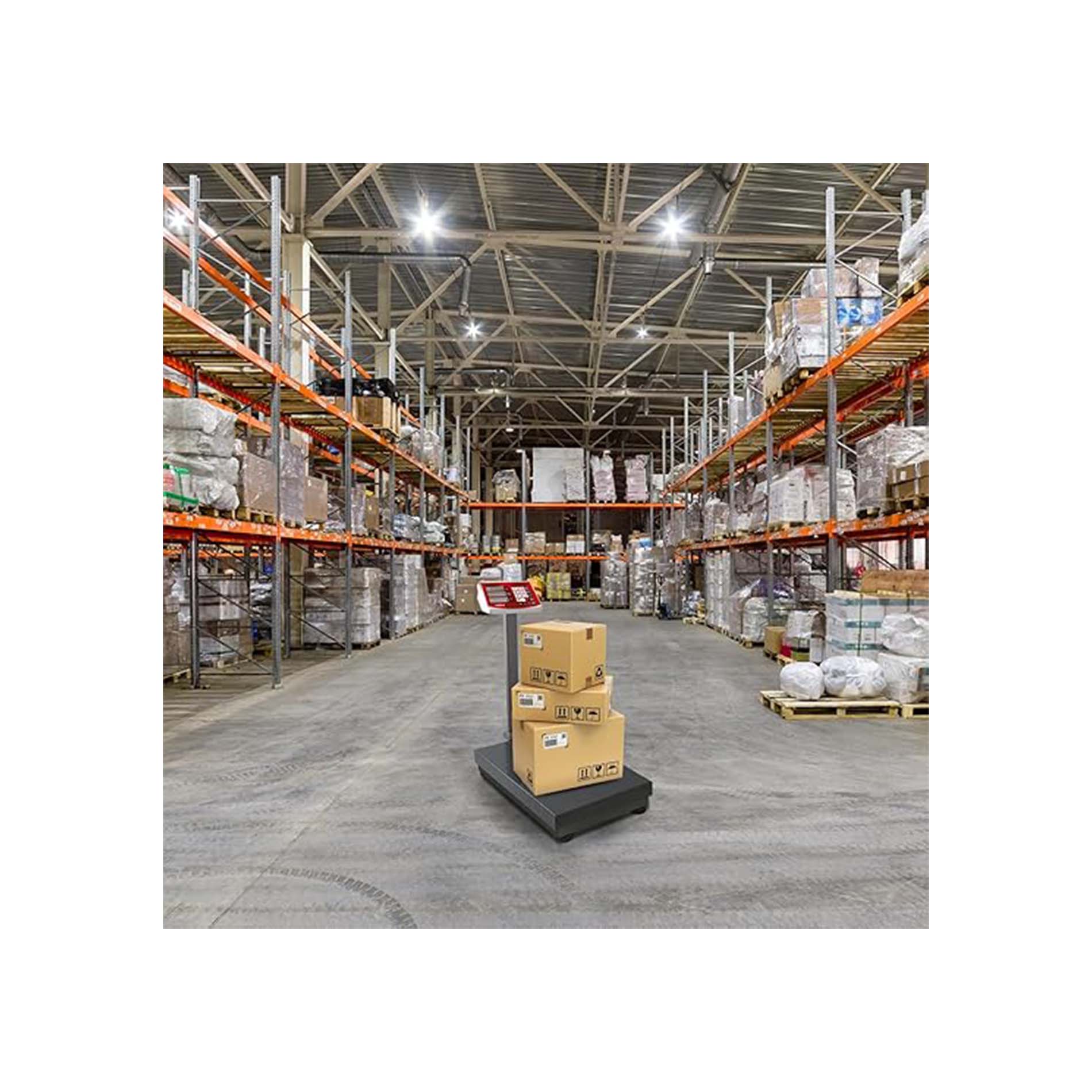 Báscula de Plataforma Plegable 400 kg