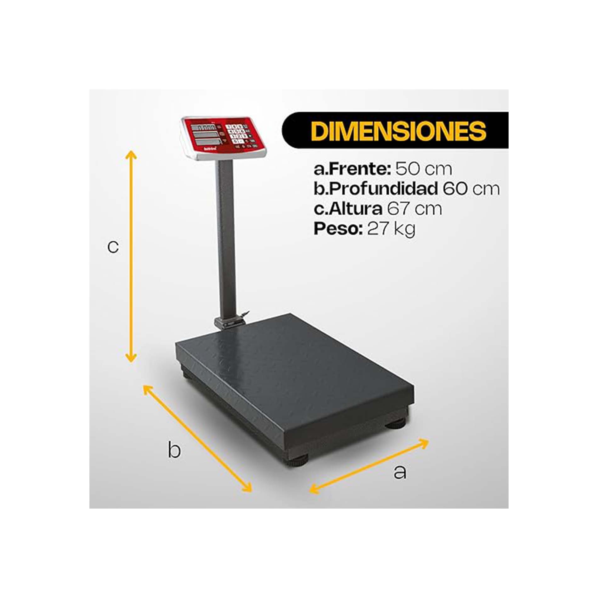 Báscula de Plataforma Plegable 400 kg