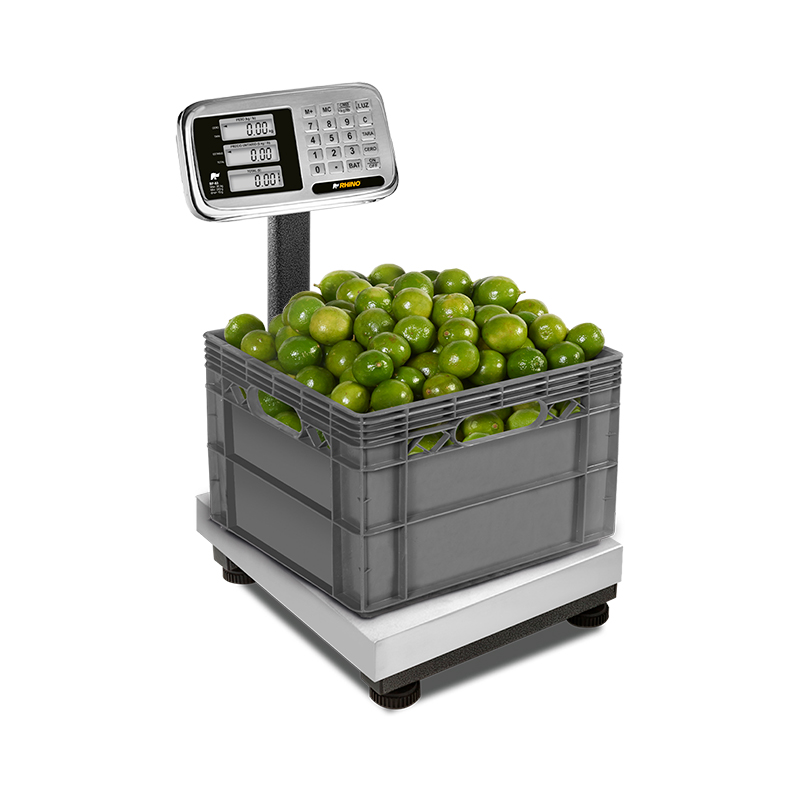 Báscula de Plataforma Inoxidable Plegable 80 kg