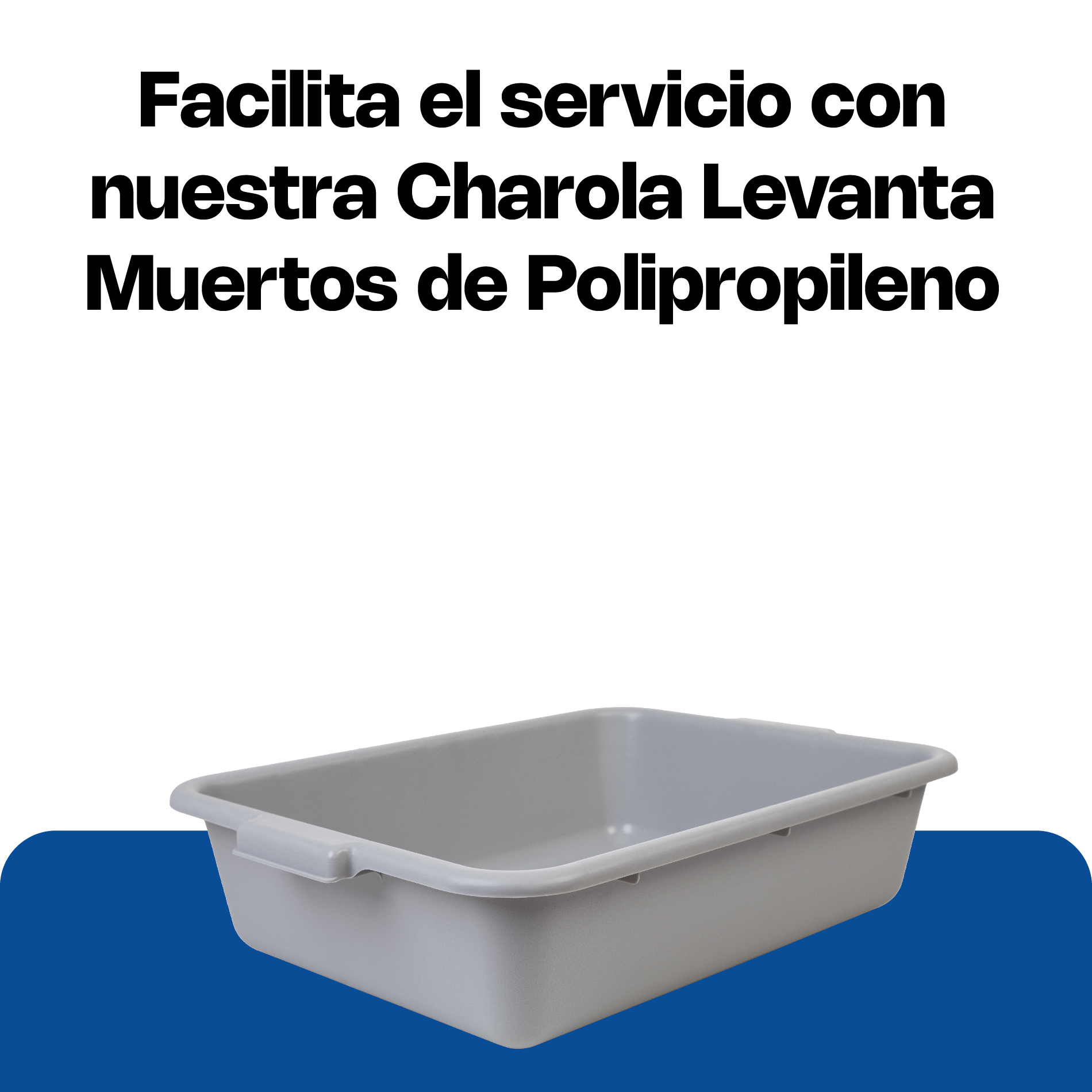 Charola de Servicio 7"