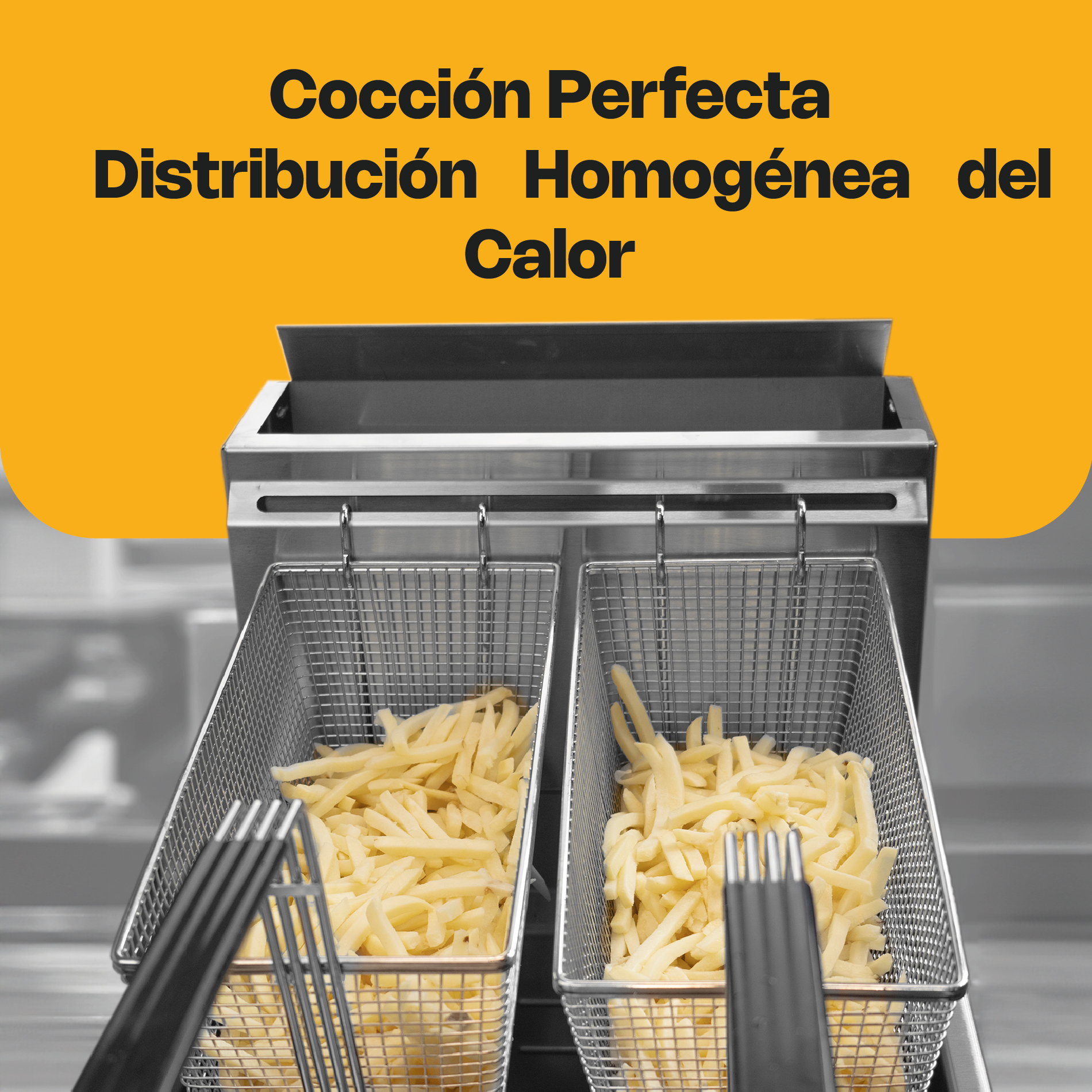 Freidora de Gas Propano 24 L