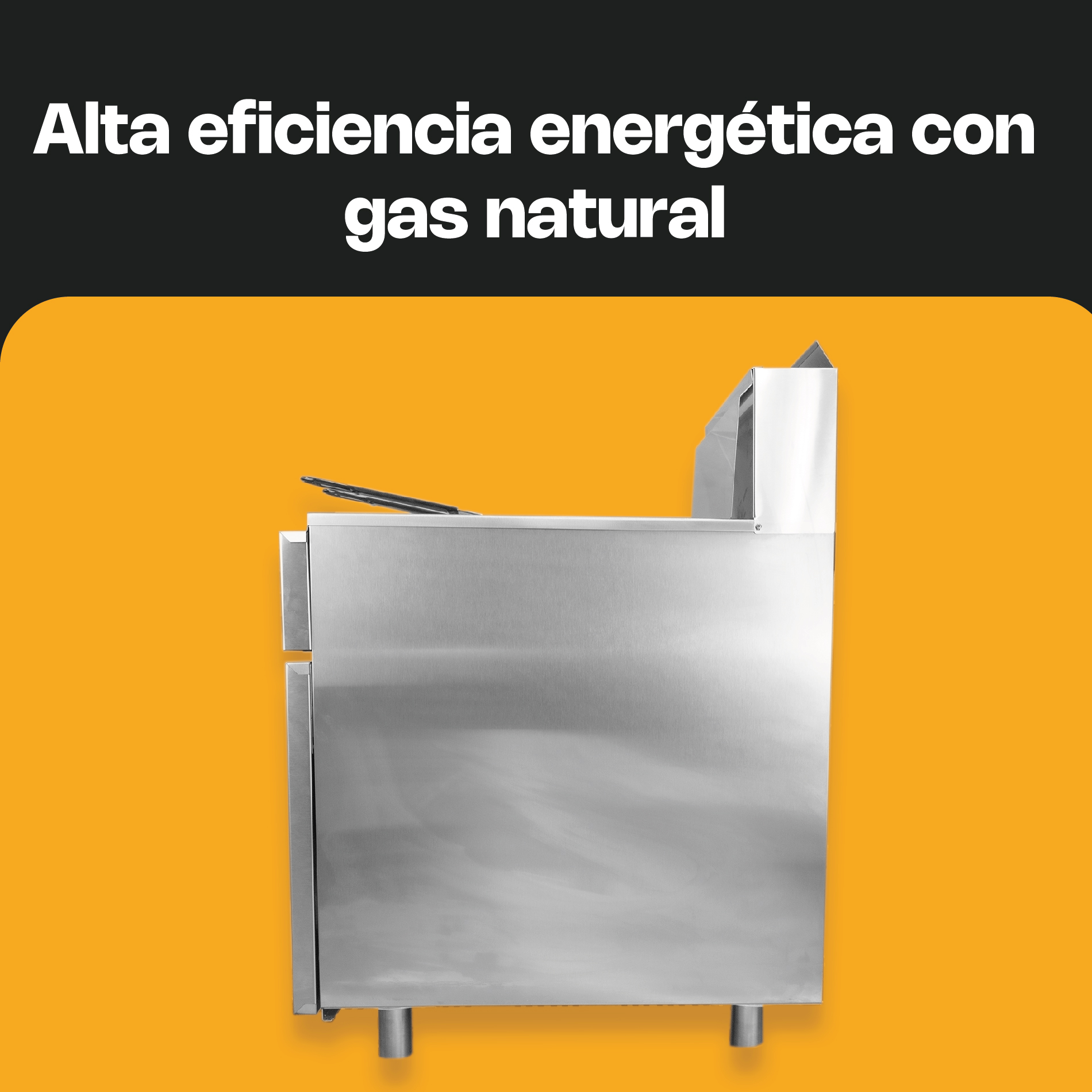 Freidora de Gas Natural 24 L