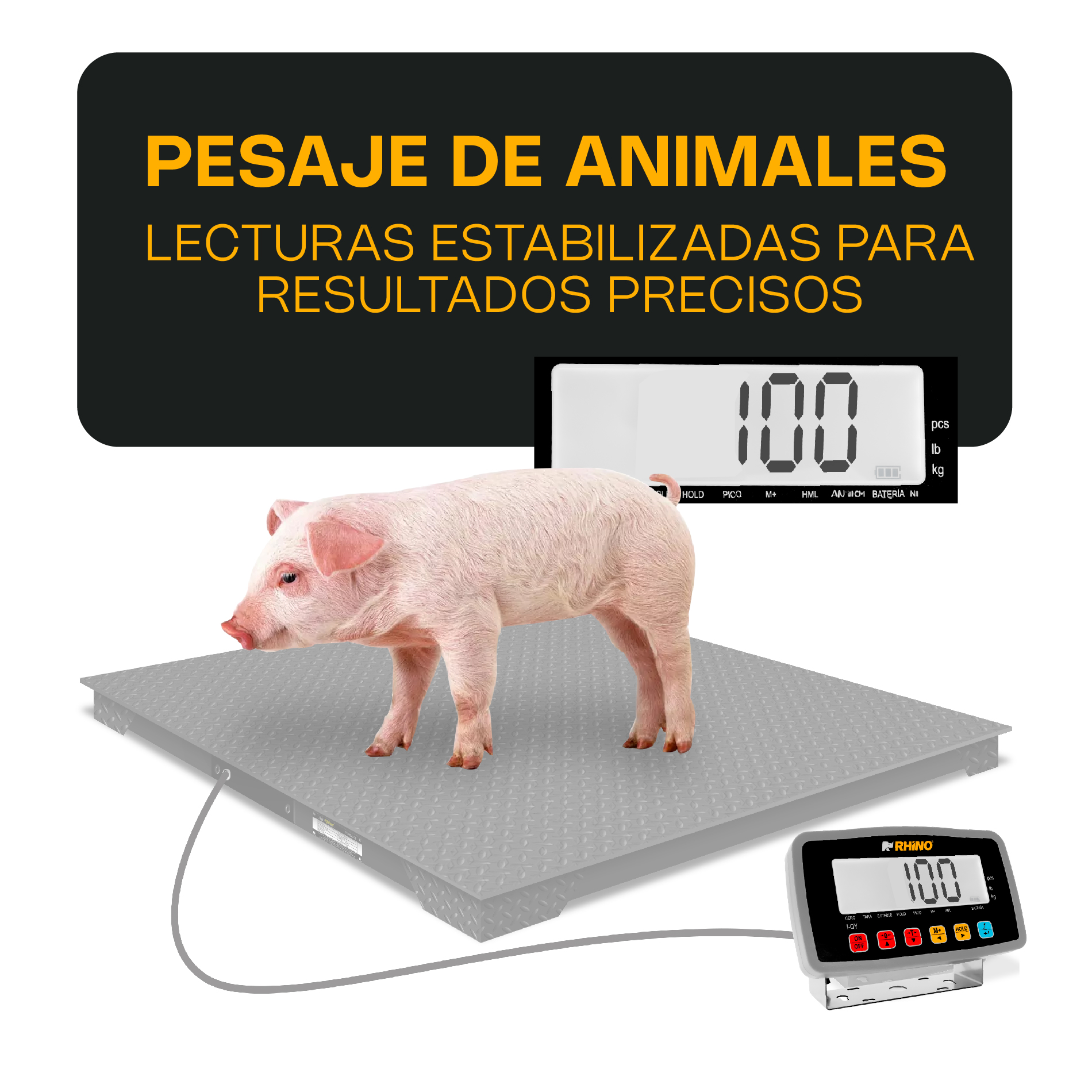Indicador Peso, Contador y Pesaje de Animales