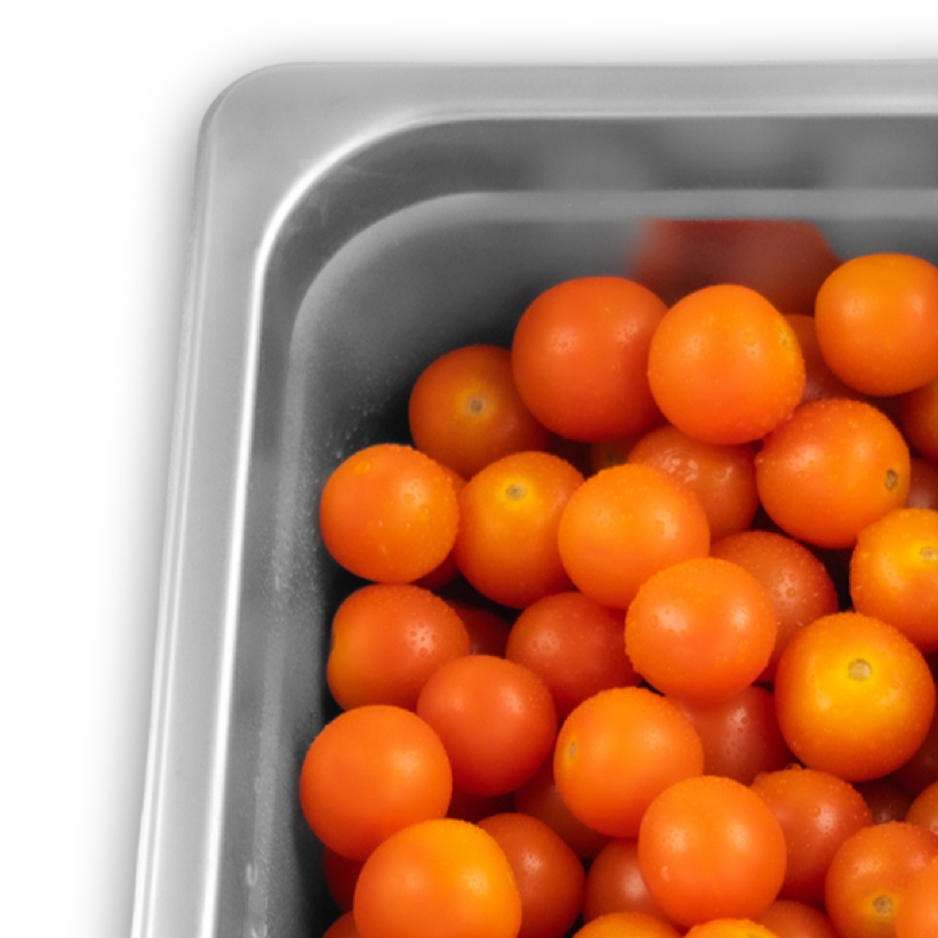 Inserto de Acero Inoxidable Entero 2.5"