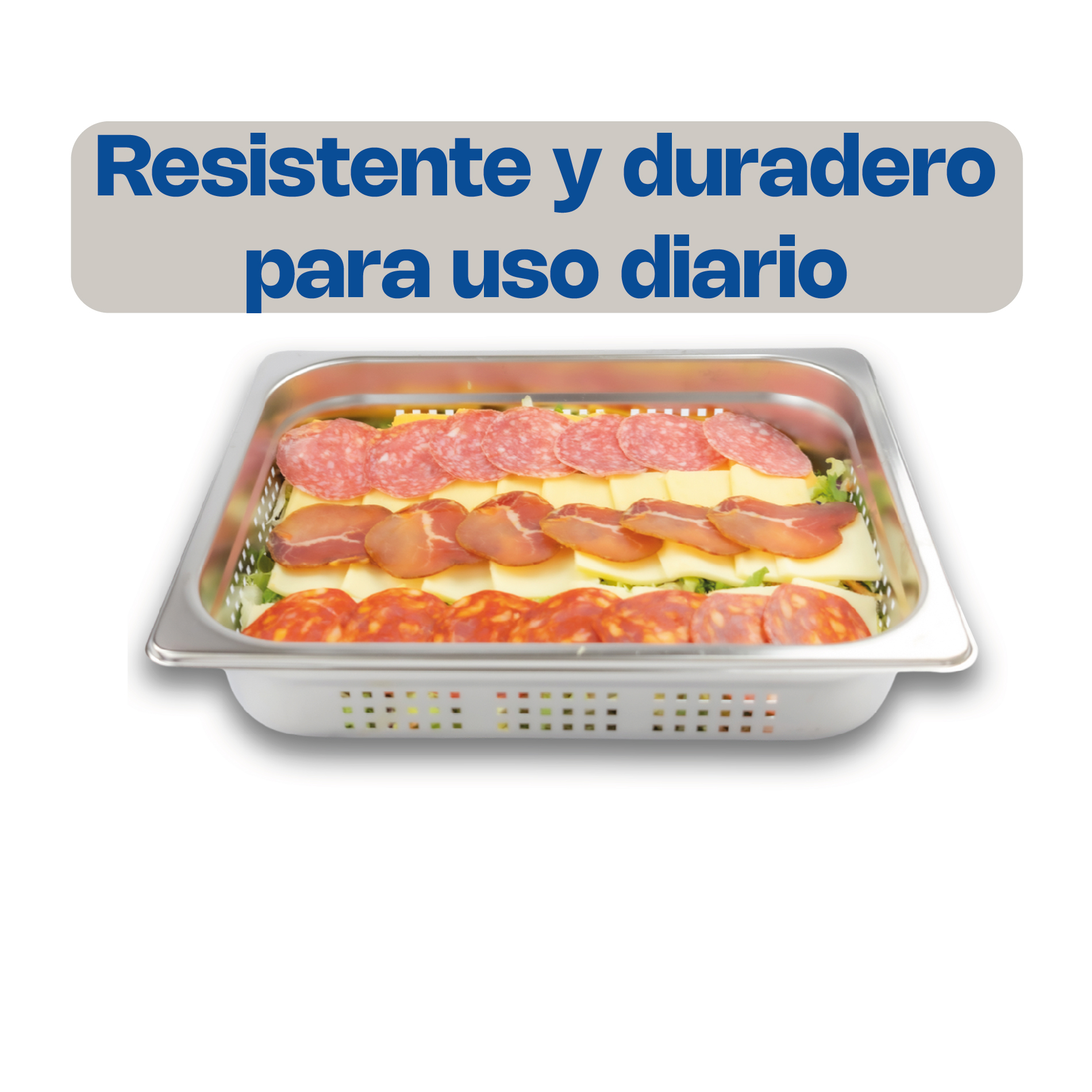 Inserto de Acero Inoxidable Perforado Medio 2.5"