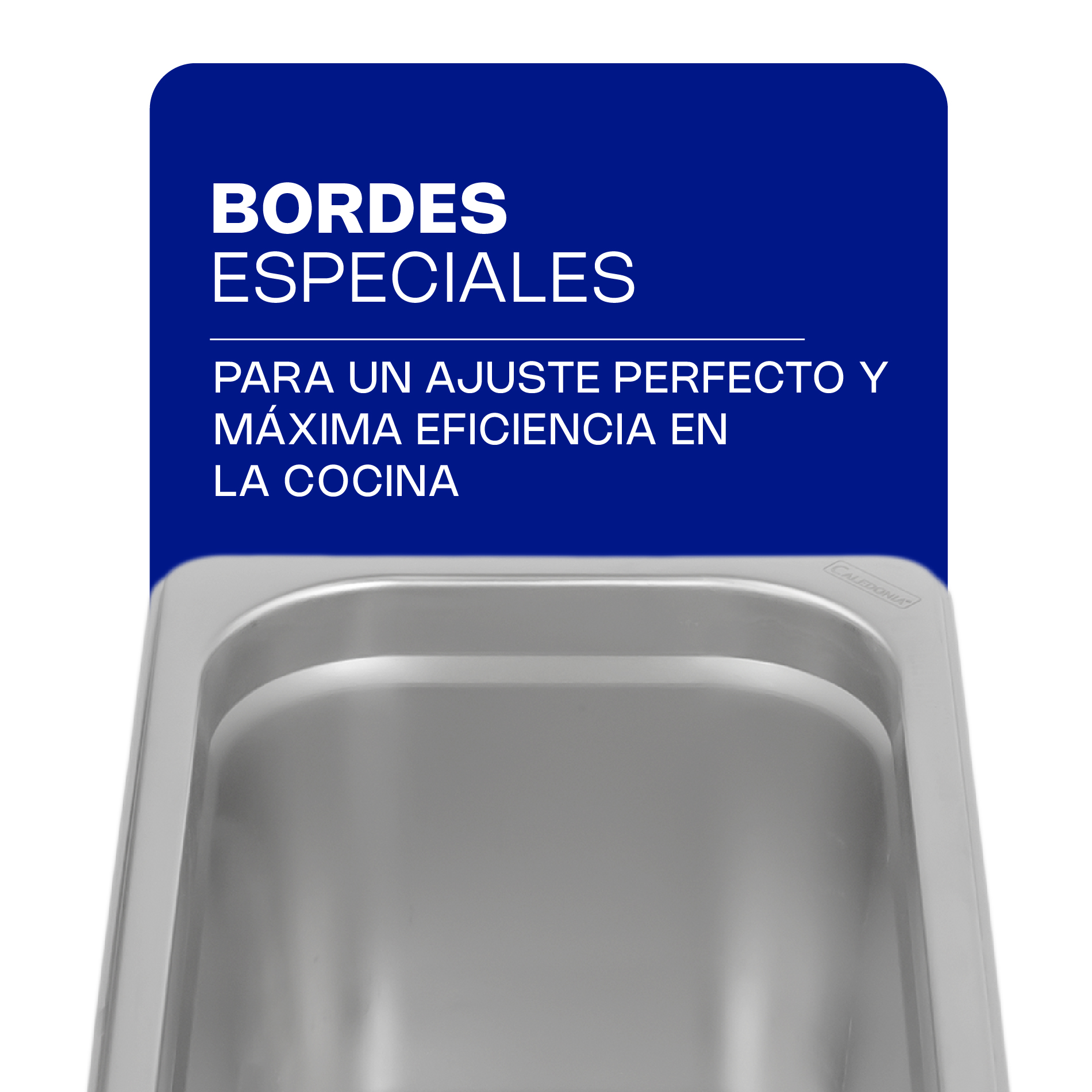 Inserto de Acero Inoxidable Tercio 6"