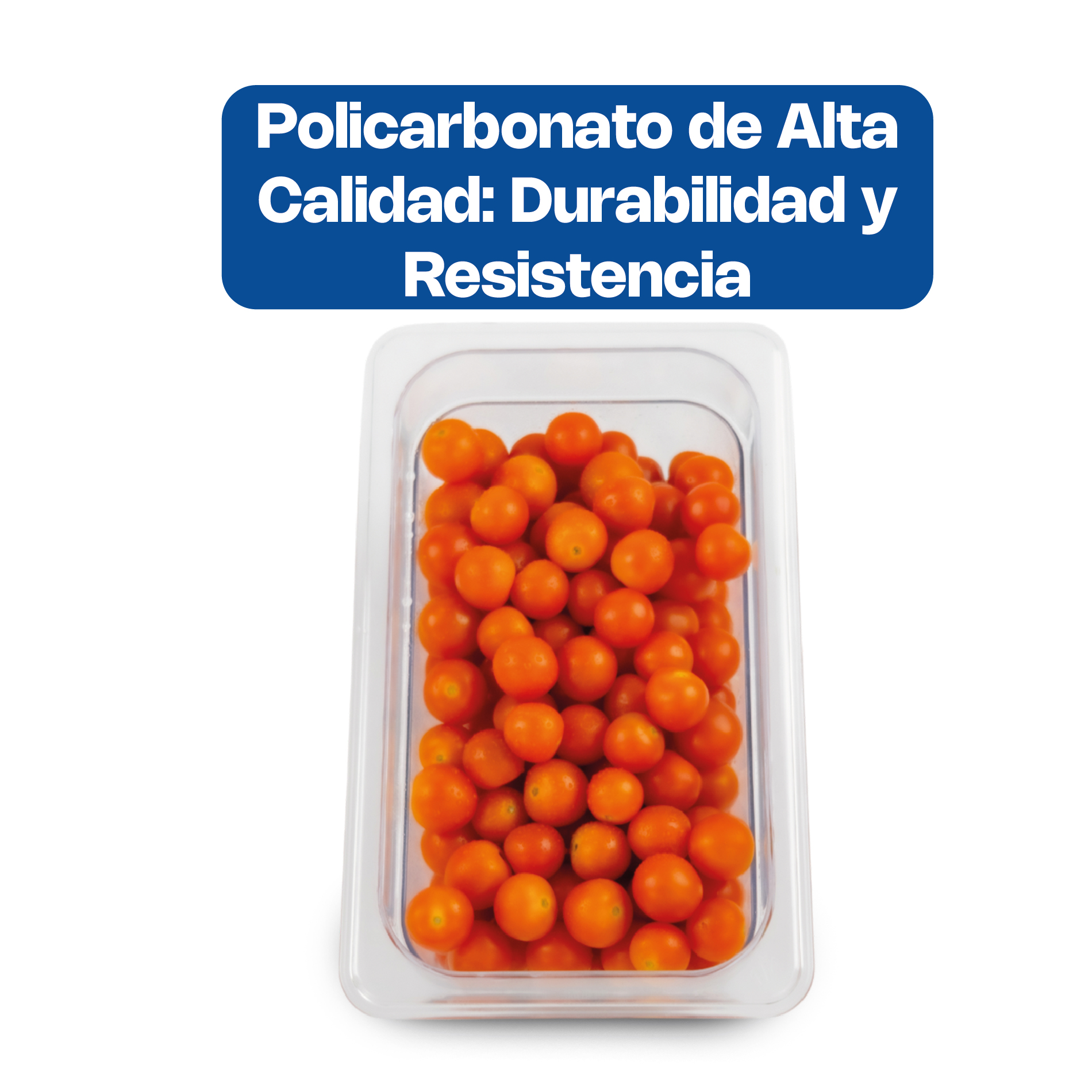 Inserto para Policarbonato Cuarto
