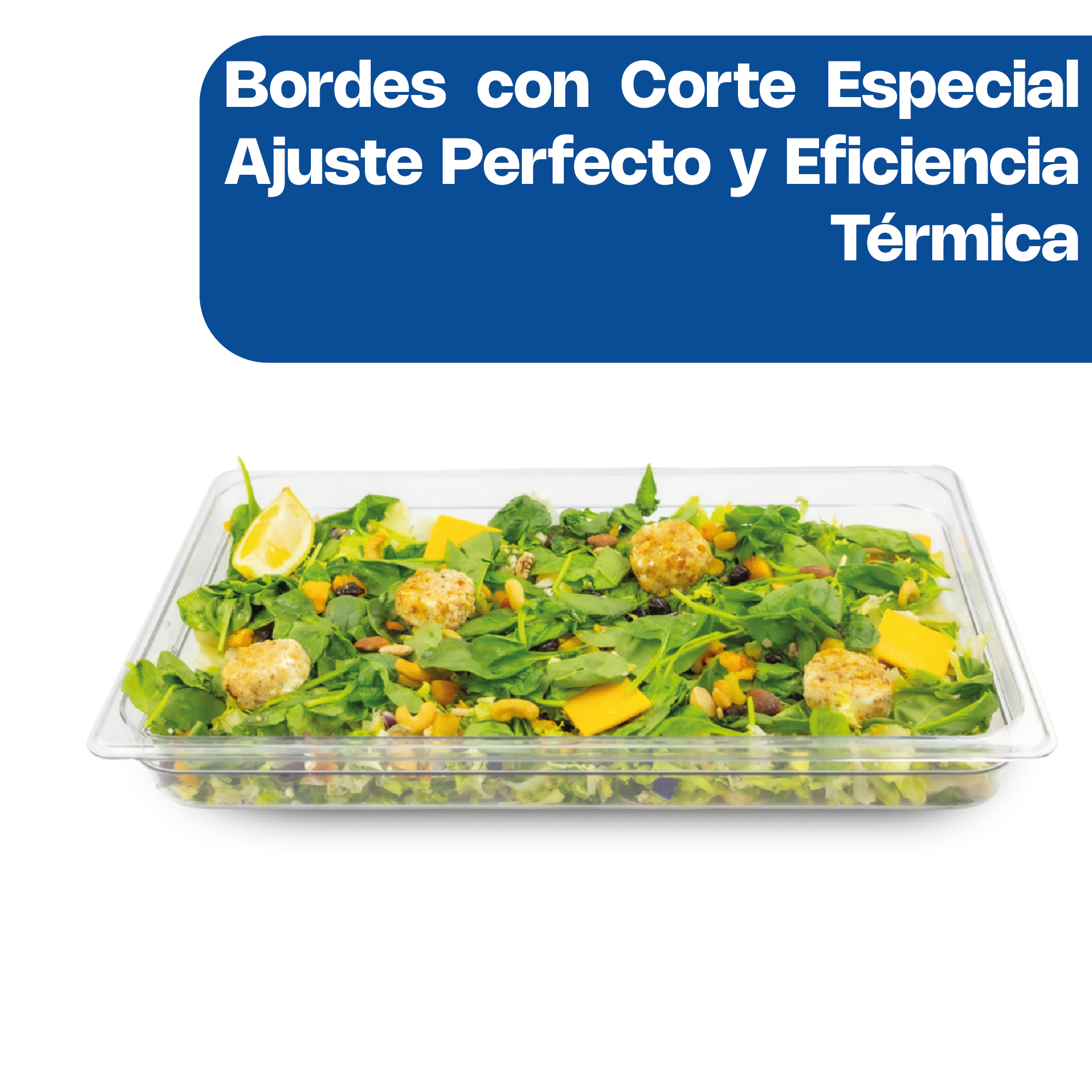 Inserto para Policarbonato Entero 2.5"