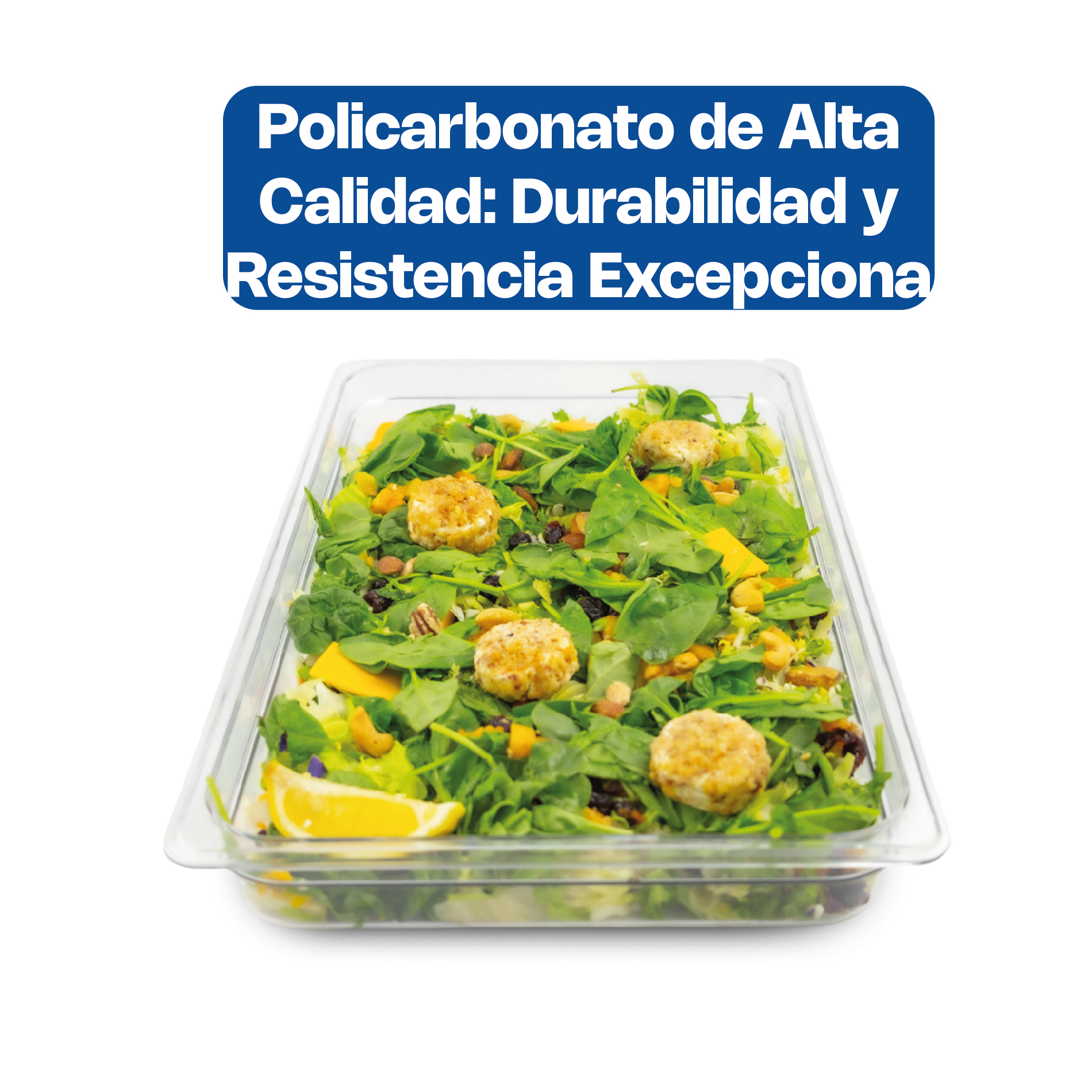 Inserto para Policarbonato Entero 2.5"