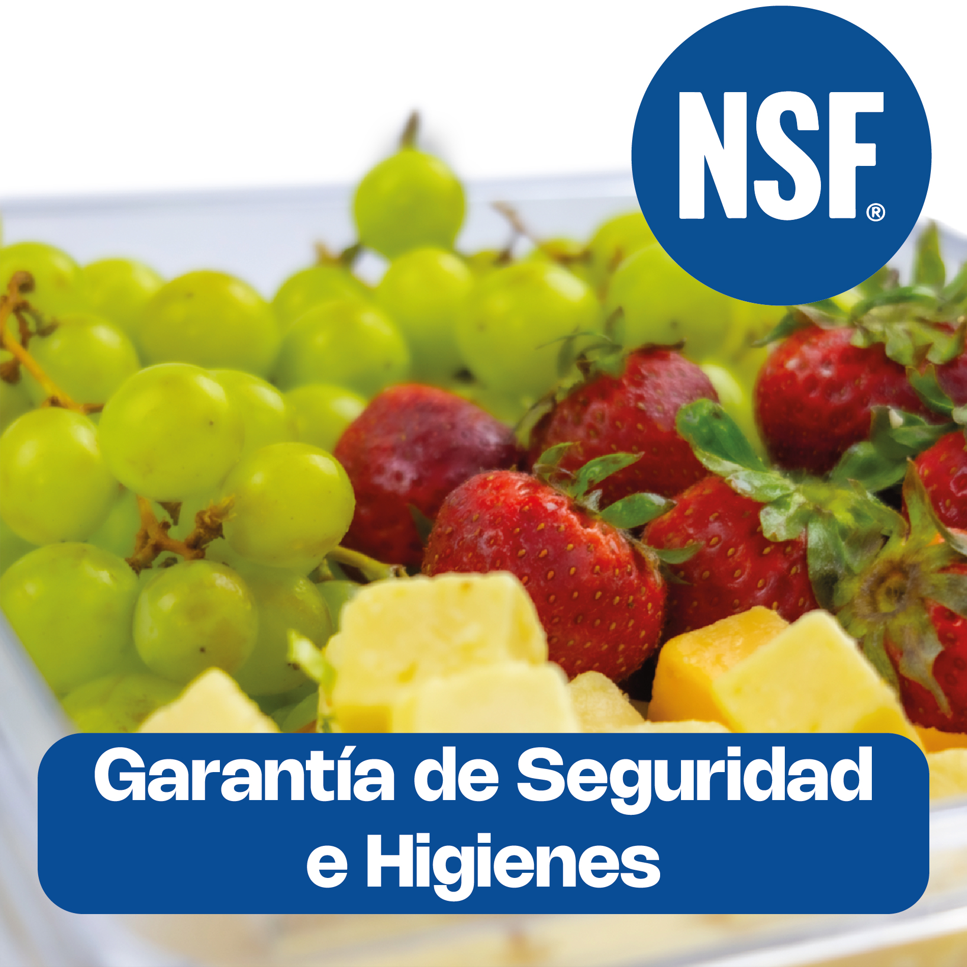 Inserto para Policarbonato Medio 2.5"