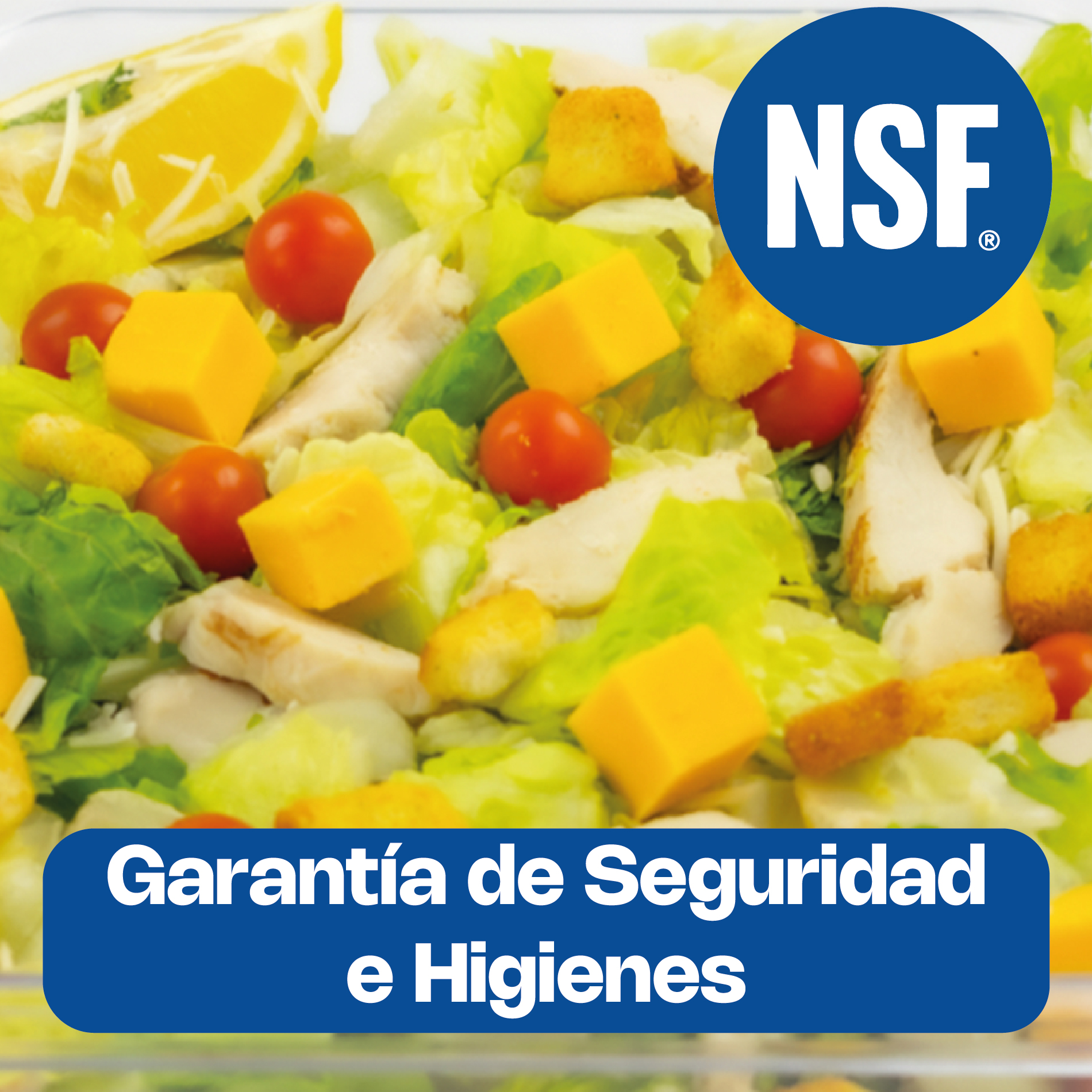 Inserto para Policarbonato Medio 4"