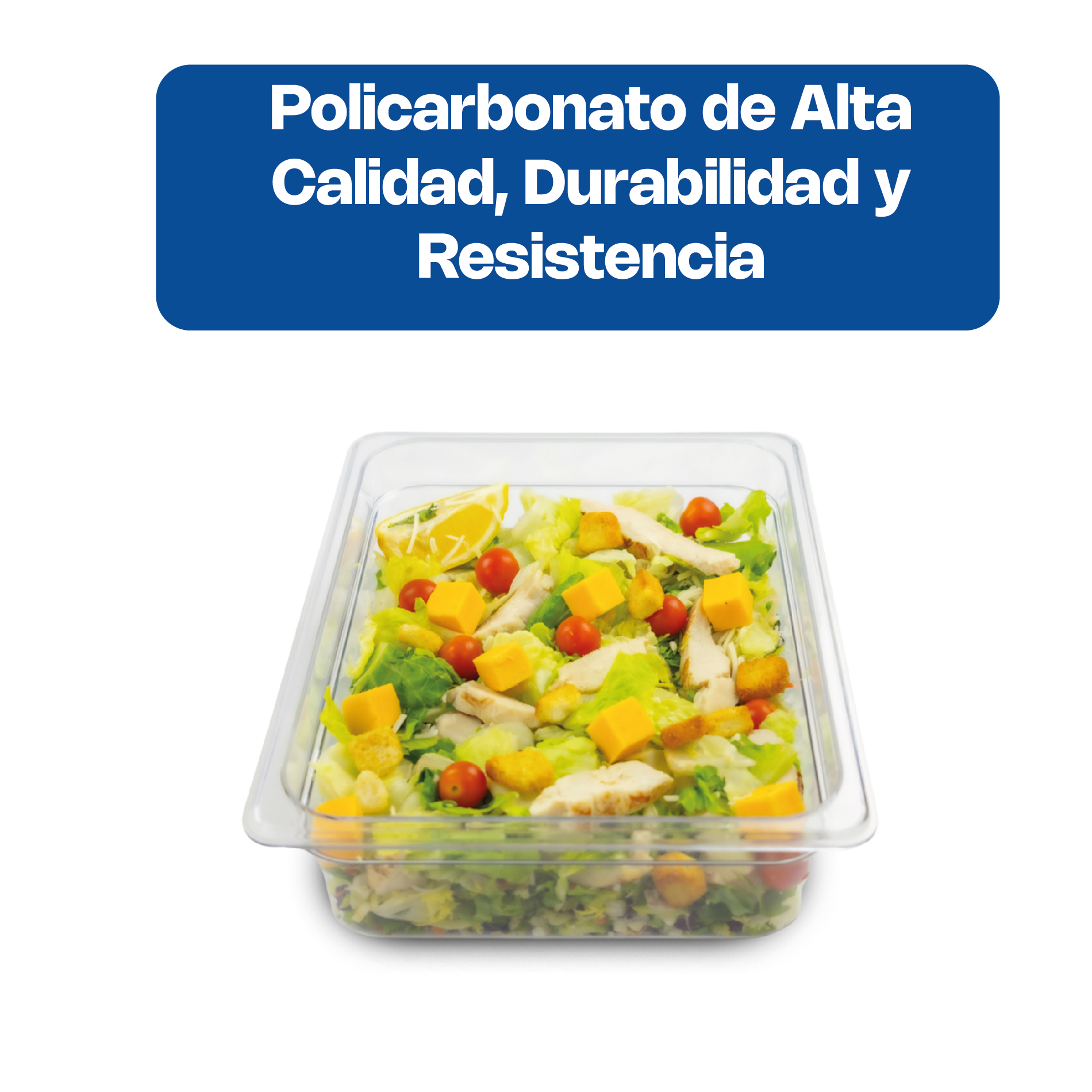 Inserto para Policarbonato Medio 4"