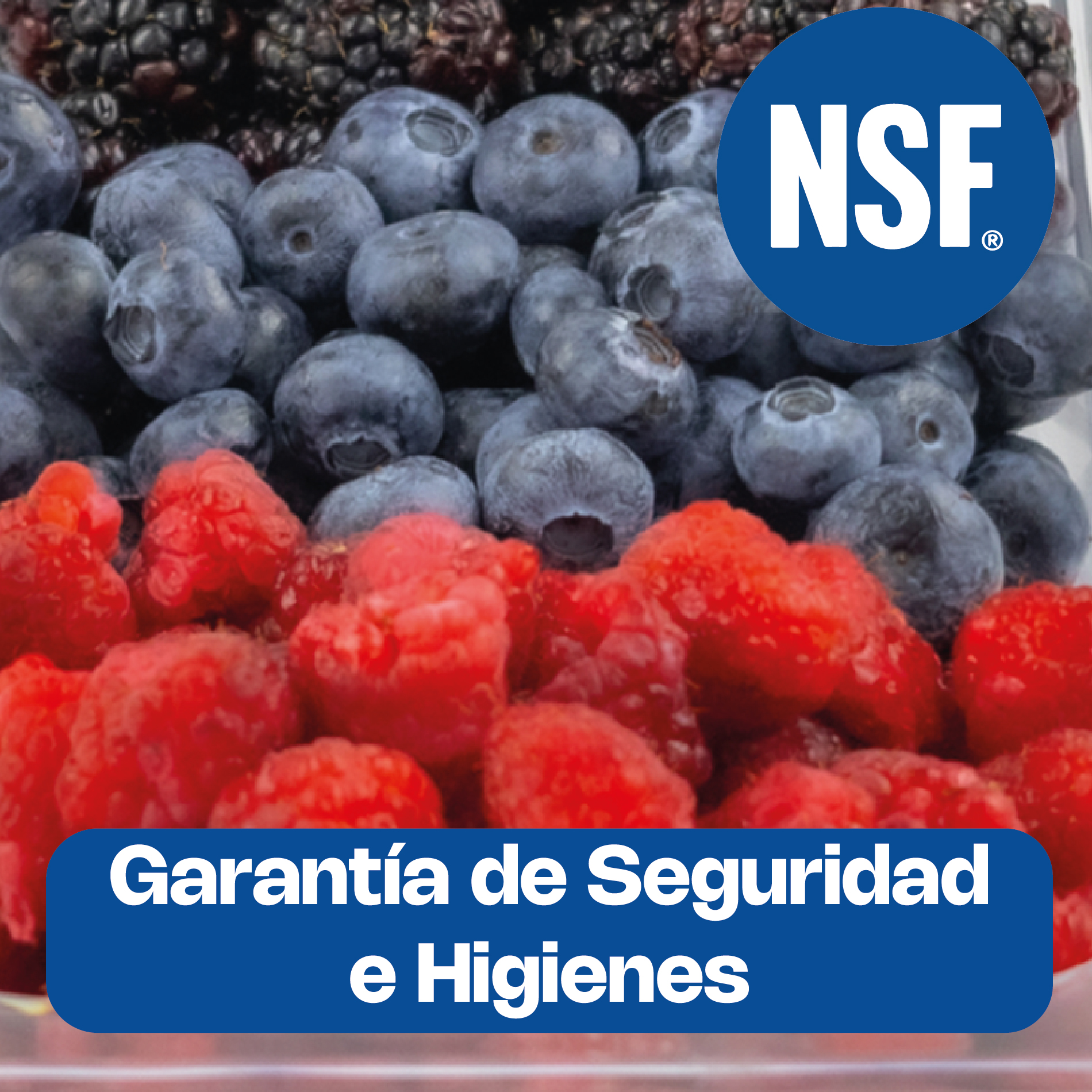 Inserto para Policarbonato Tercio 2.5"