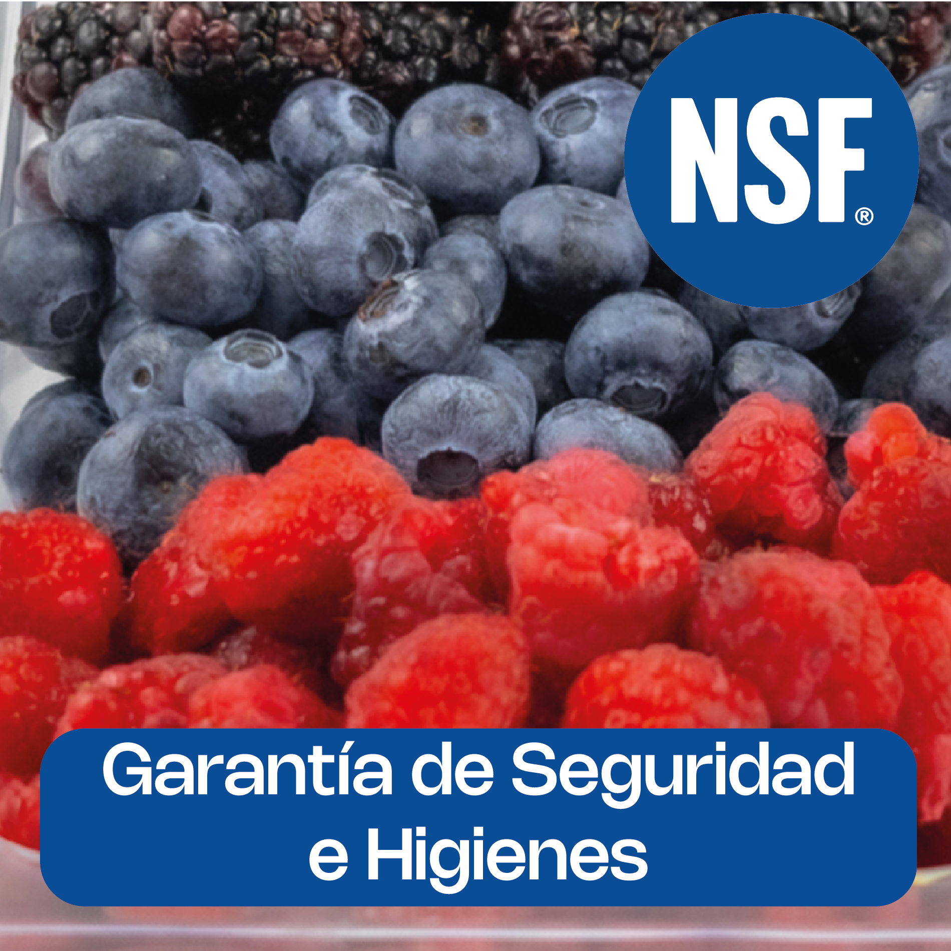 Inserto para Policarbonato Tercio 4"