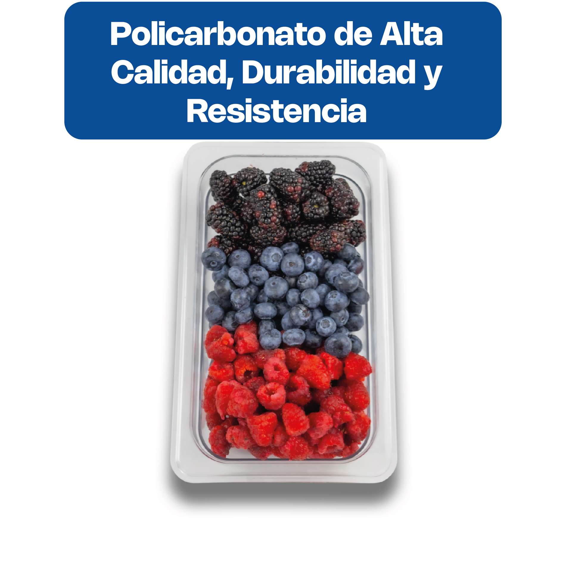 Inserto para Policarbonato Tercio 4"