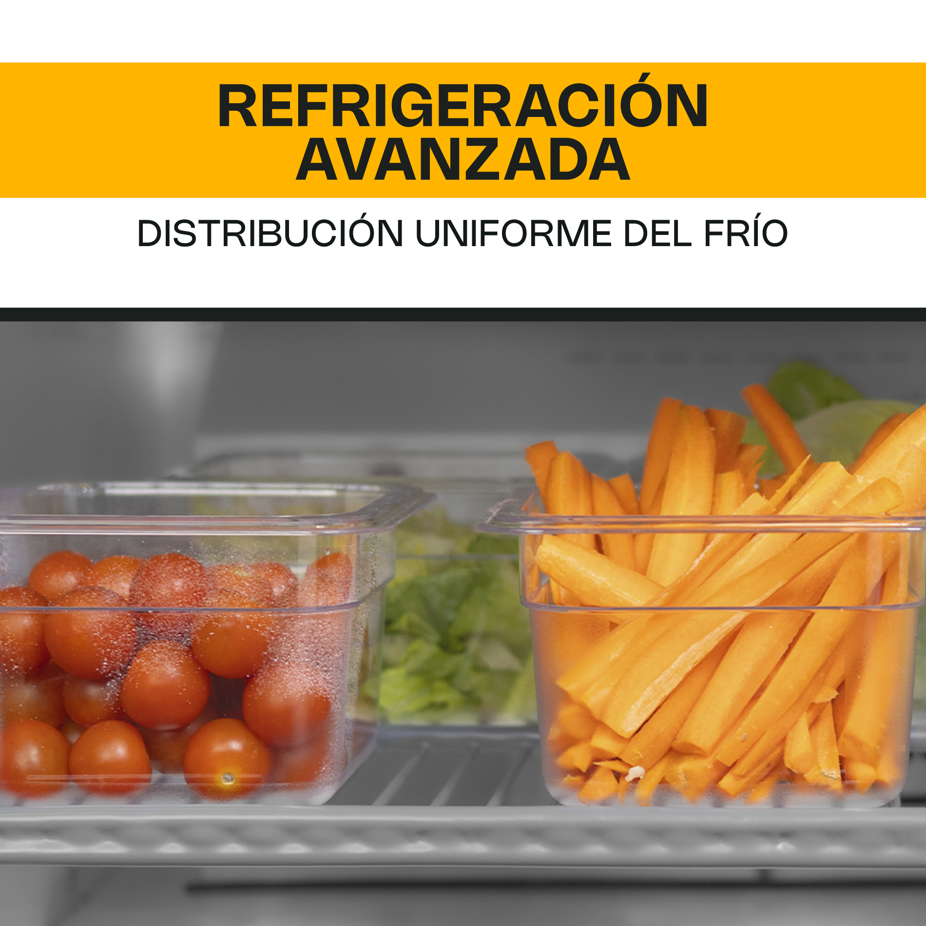 Mesa Refrigerada Bajo Barra 6.9 Pies