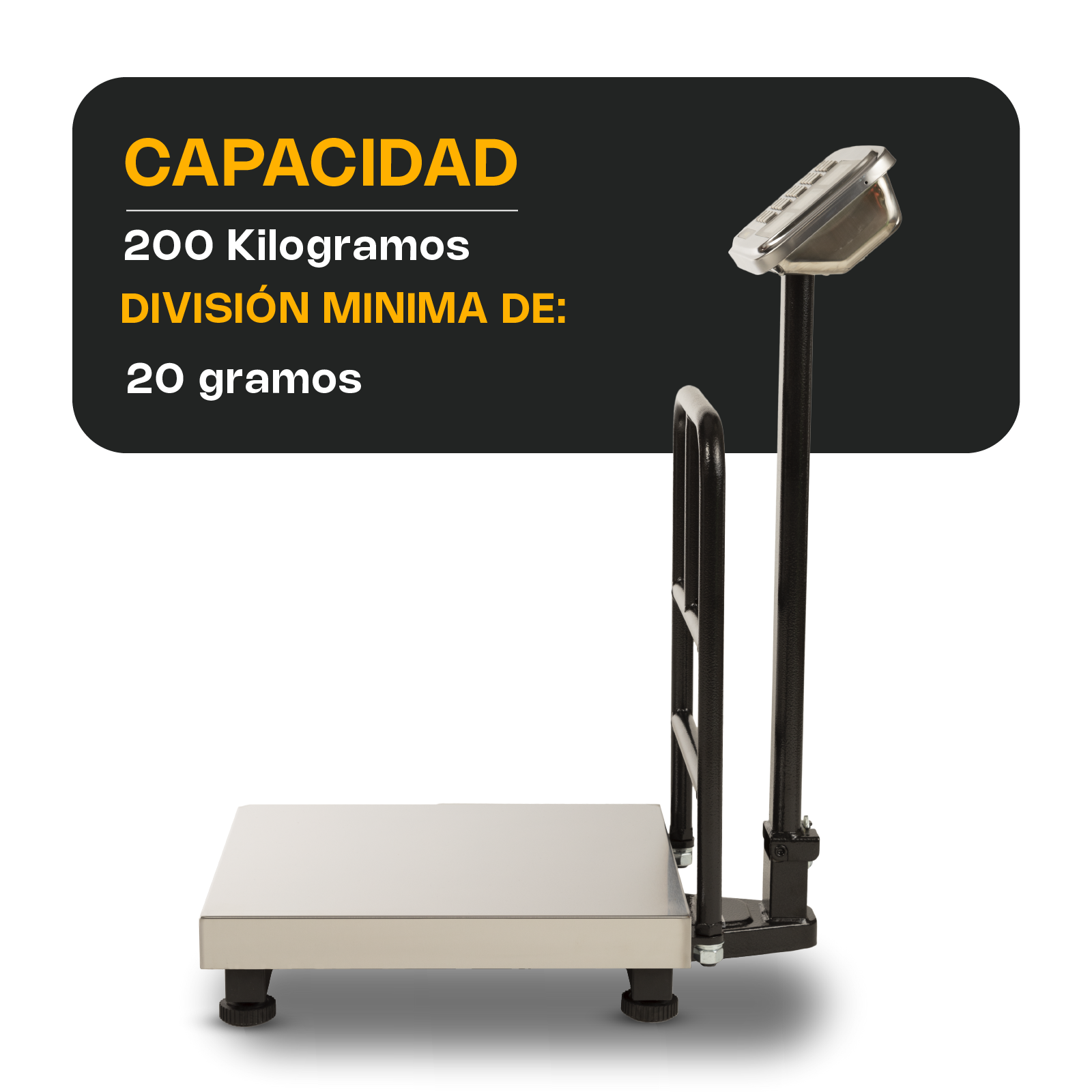 Báscula de Plataforma Inoxidable Plegable 200 kg