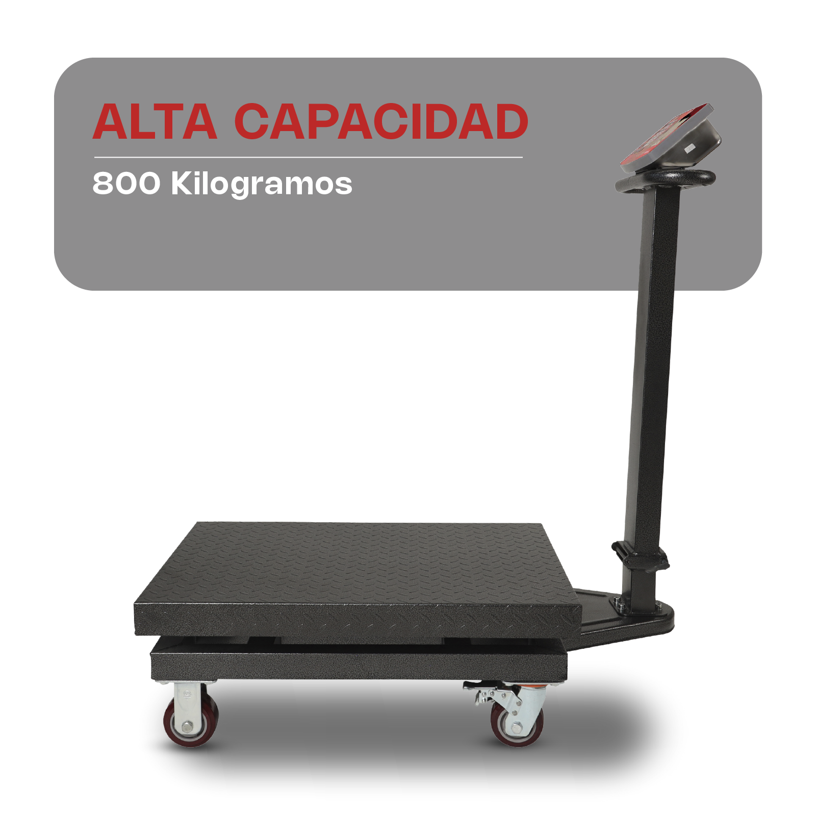 Báscula de Plataforma Plegable 800 kg