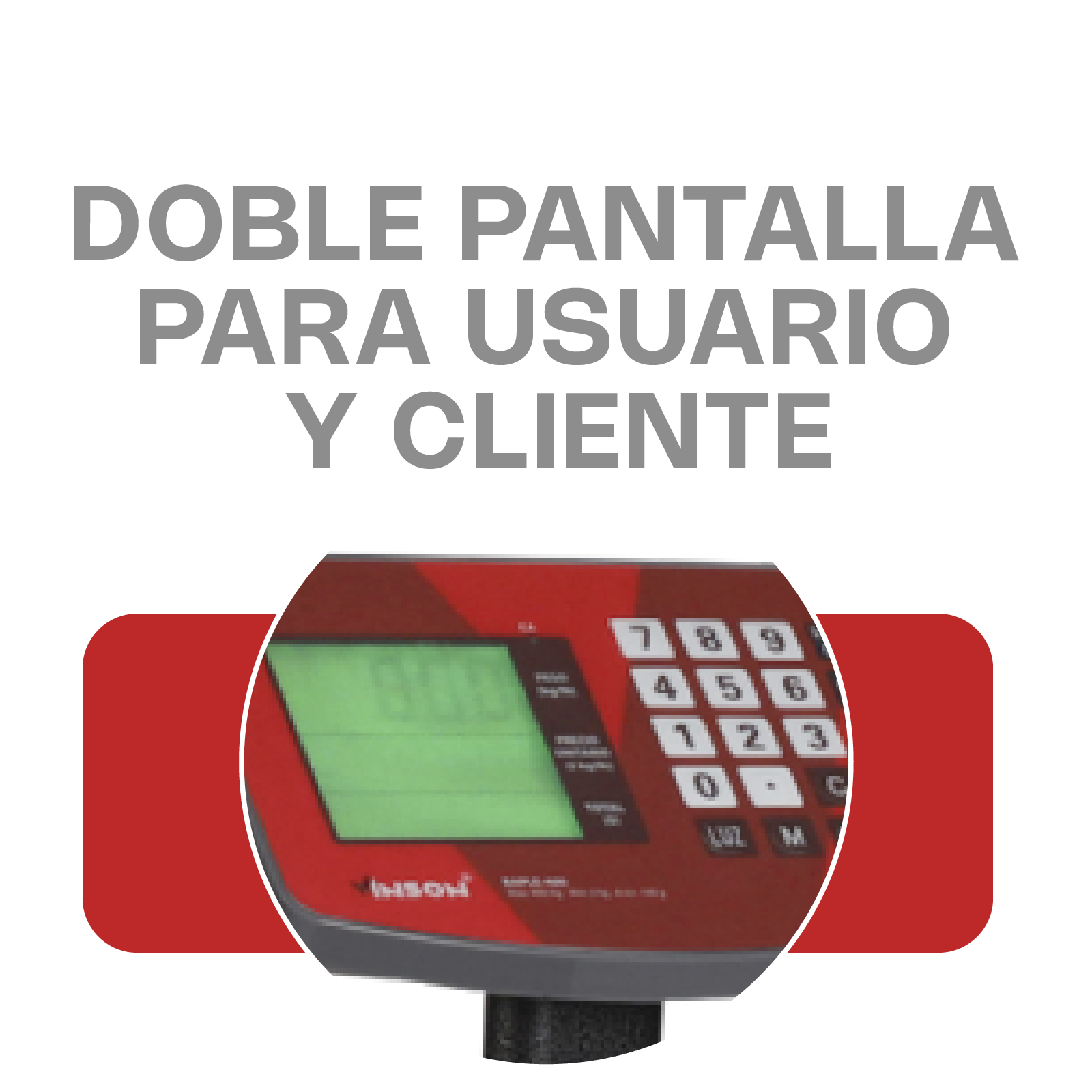 Báscula de Plataforma Plegable 200 kg