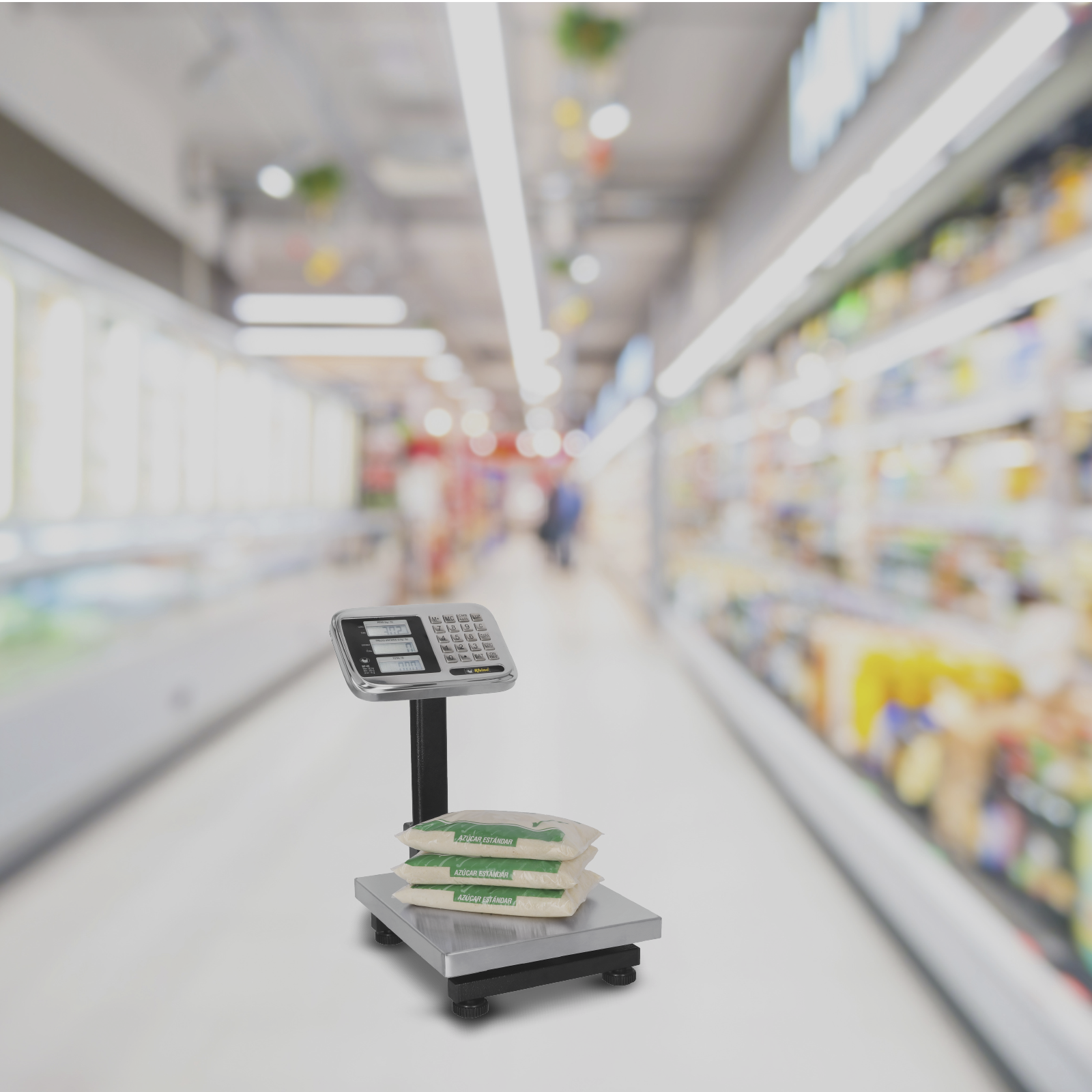 Báscula de Plataforma Inoxidable Plegable 80 kg