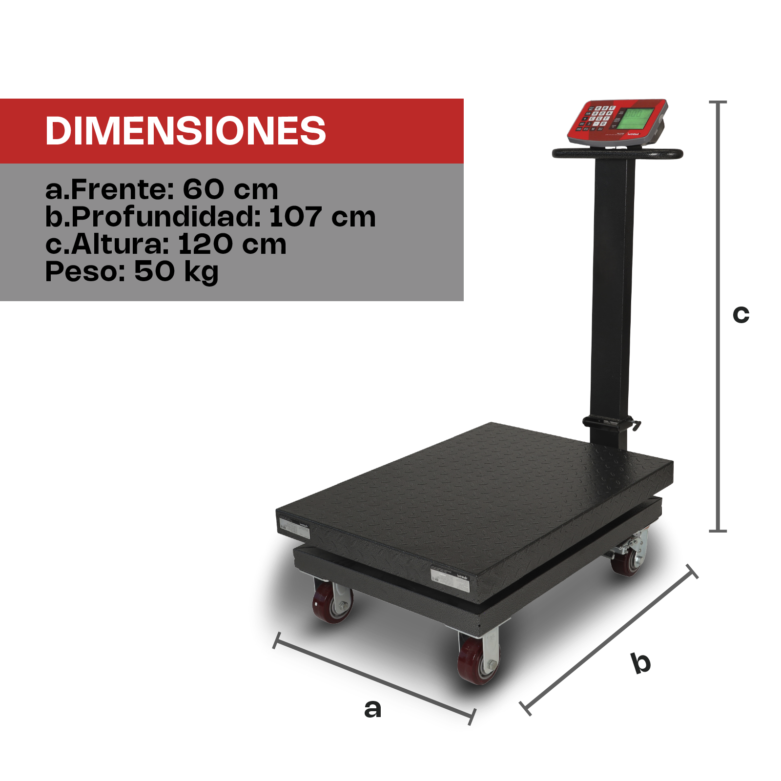Báscula de Plataforma Plegable 800 kg