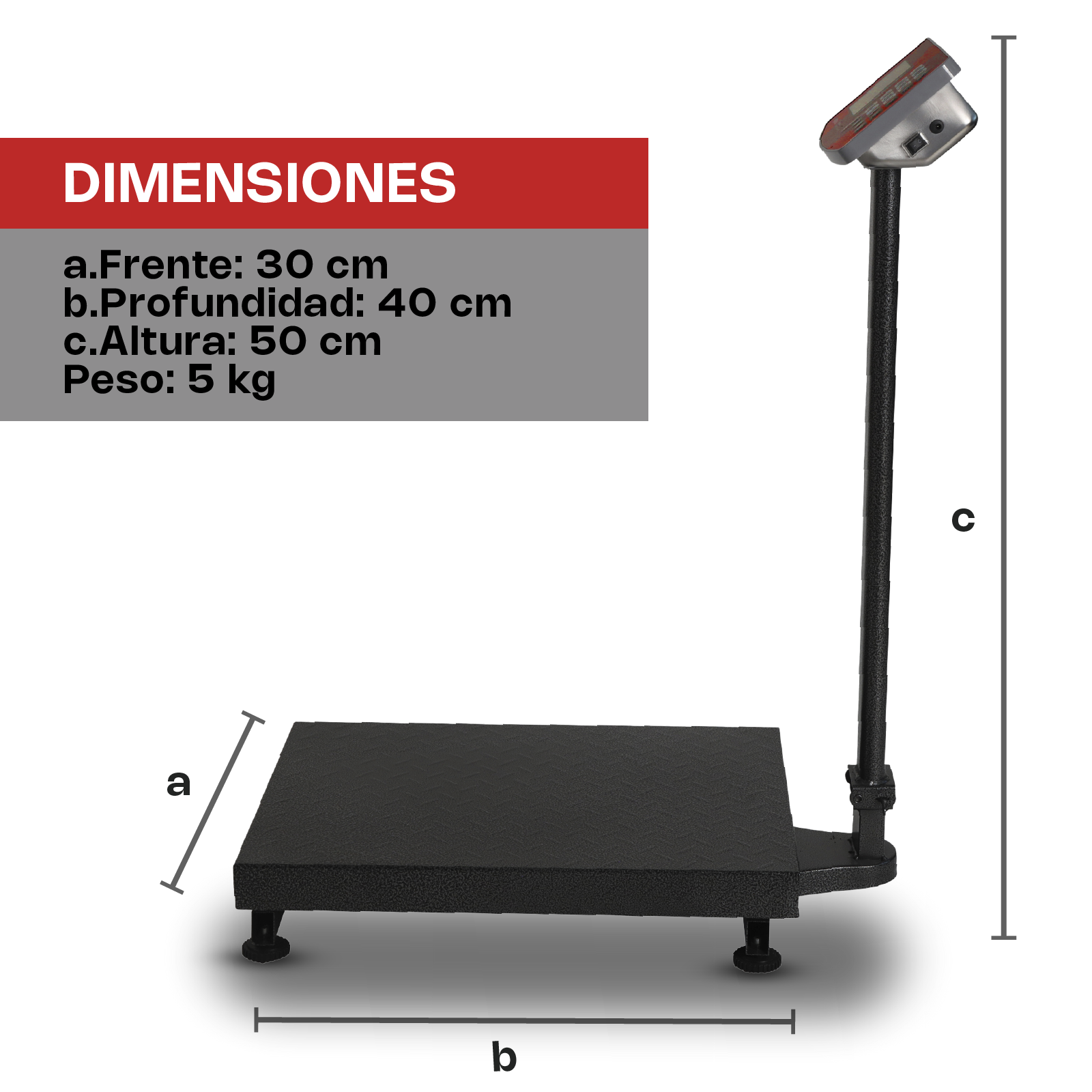 Báscula de Plataforma Plegable 200 kg