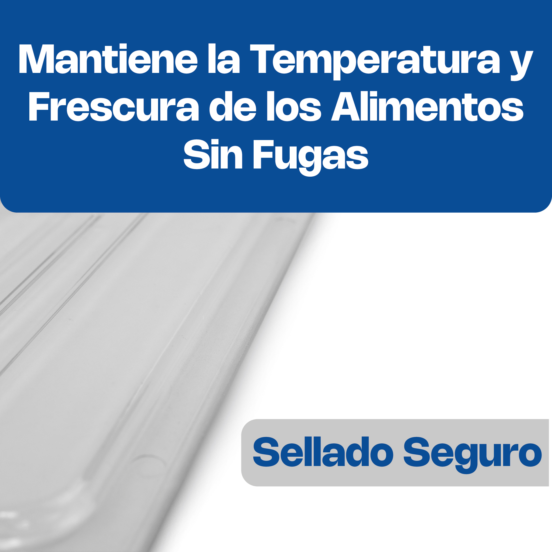 Tapa para Inserto de Policarbonato Entero