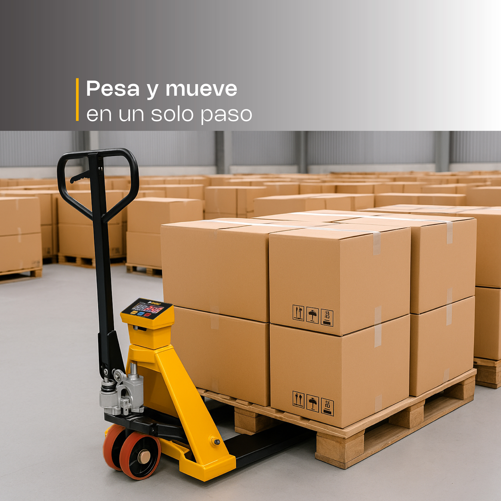 Báscula de Patín 2 t