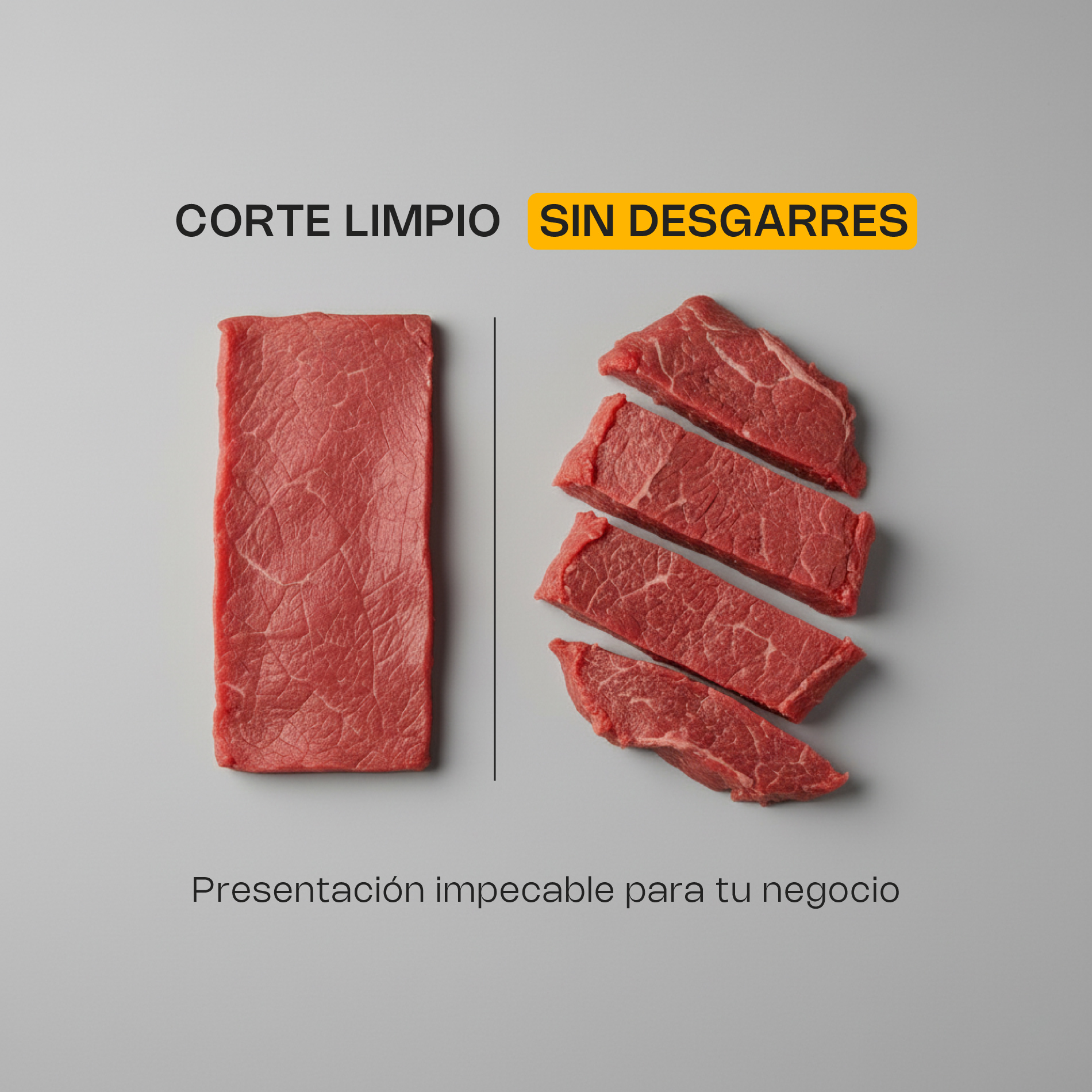 Rebanadora de Carne Semi Congelada 350 mm