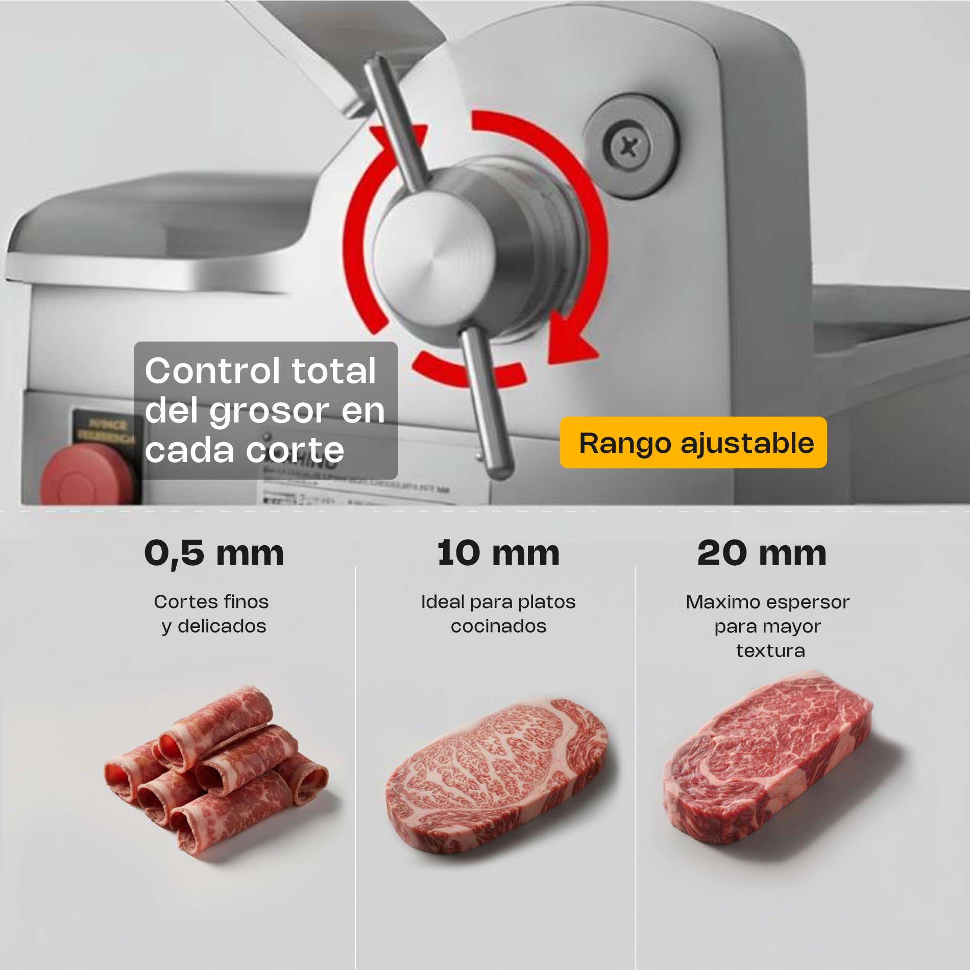 Rebanadora de Carne Semi Congelada 350 mm