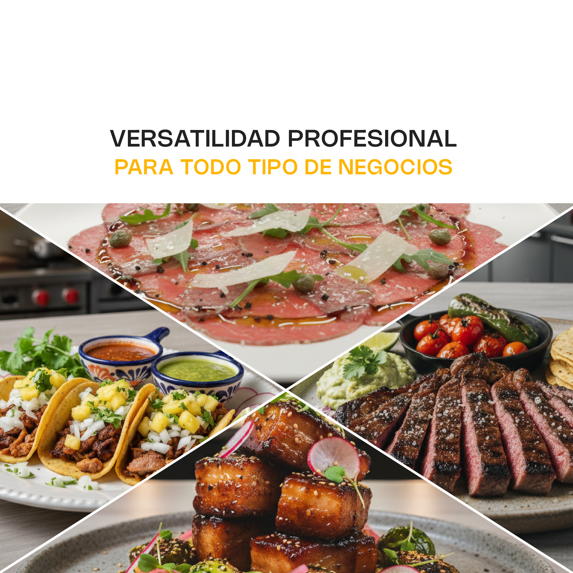 Rebanadora de Carne Semi Congelada 350 mm