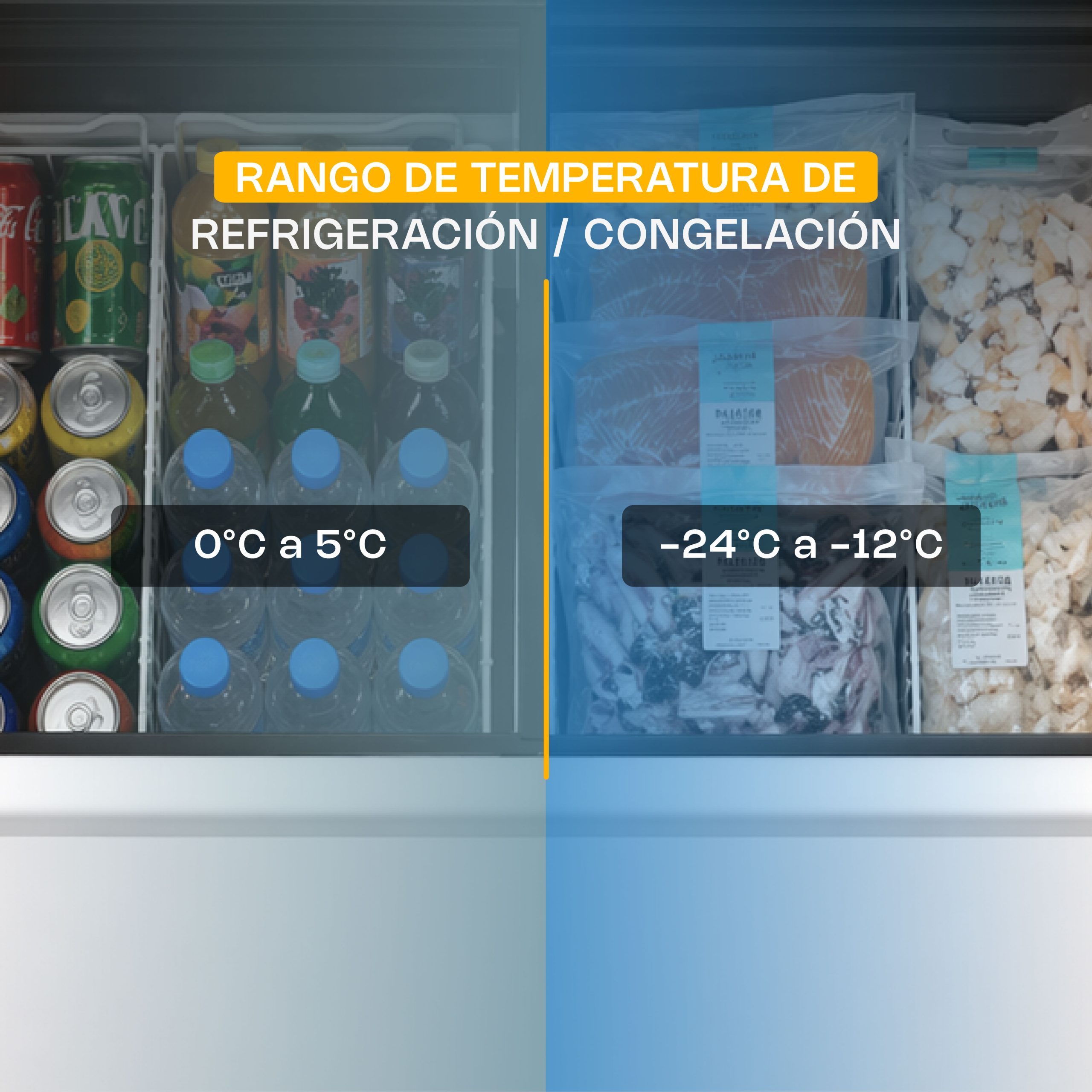 Congelador Tapa de Cristal Curvo 10 pies